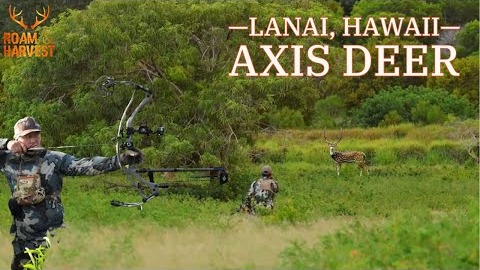 Roam and Harvest video thumbnail